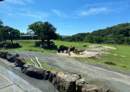 2026.07.03.臨海学舎32