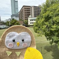11/12（木）13（金）オープンスクールについて